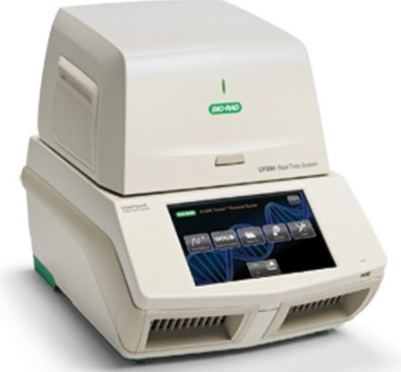 Zestaw CFX96 Touch Real-Time PCR